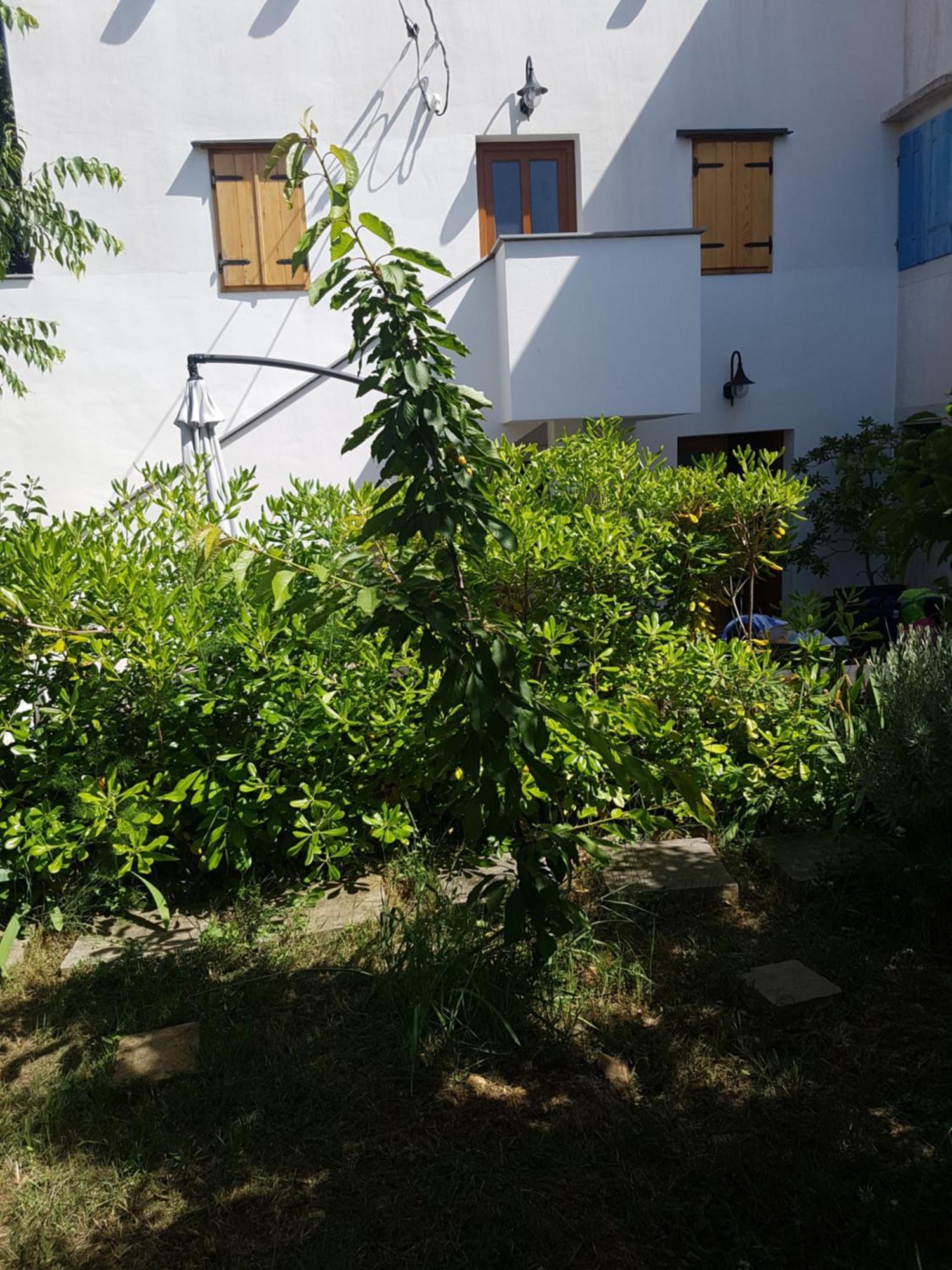 Apartman Stella Maris Veli Lošinj Buitenkant foto